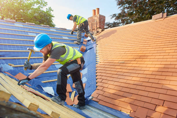 Best Metal Roofing Installation  in Walnut Grove, GA